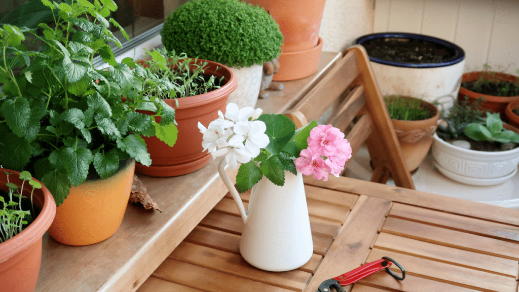 imagens matérias (21)