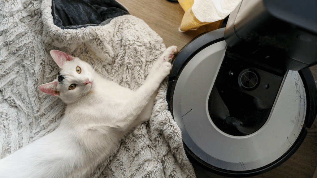 imagens matérias (35)