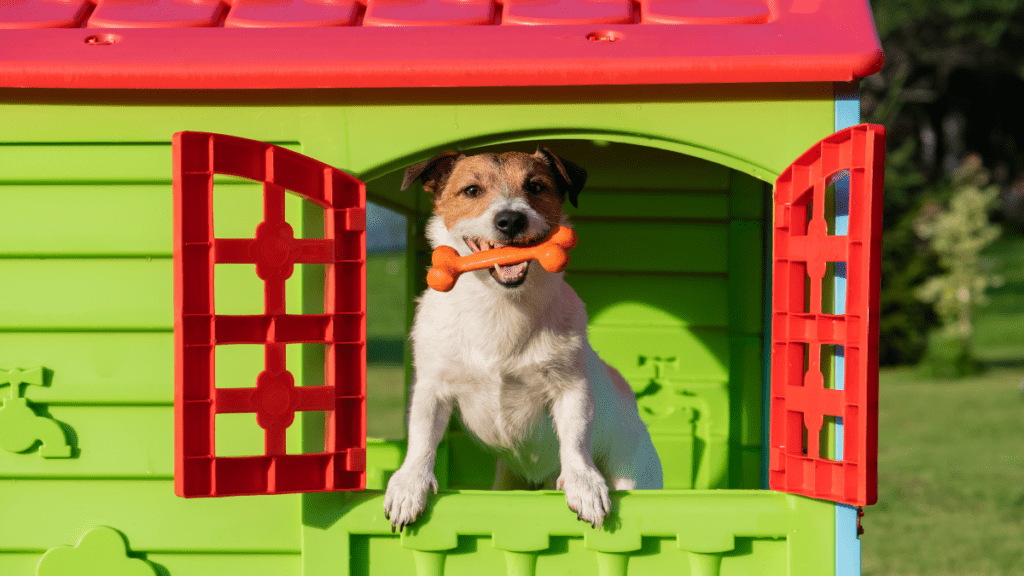 casinha lavável de cachorro e gato