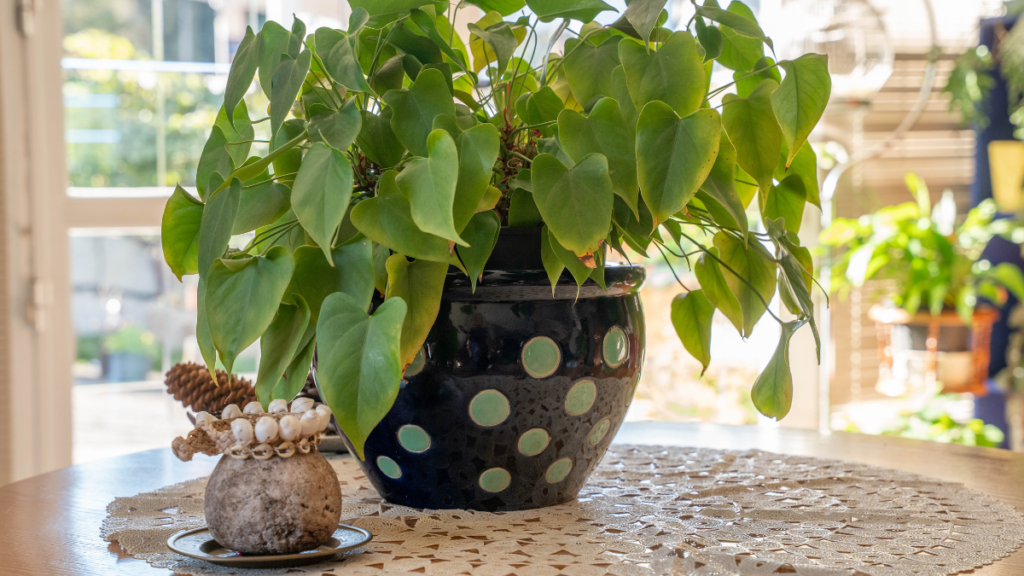 imagens matérias 2026 01 01t193428.721