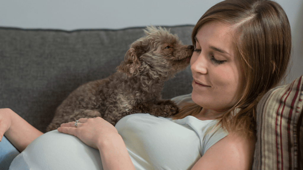 Como Preparar Seu Pet para a Chegada do Bebê