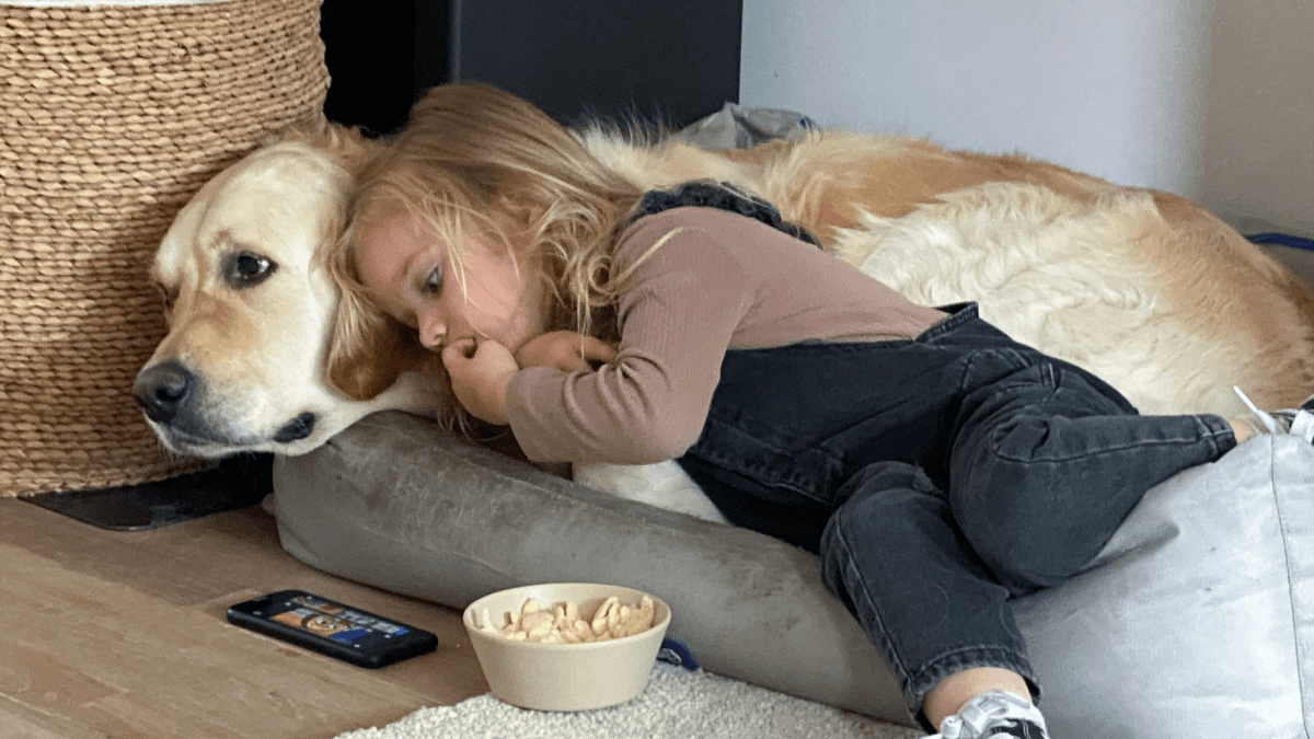 Posso Deixar o Cachorro Dormir no Quarto do Meu Filho? Guia Completo para Mães