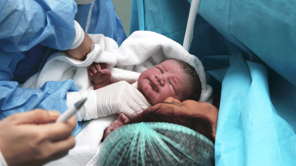 imagens matérias (55)