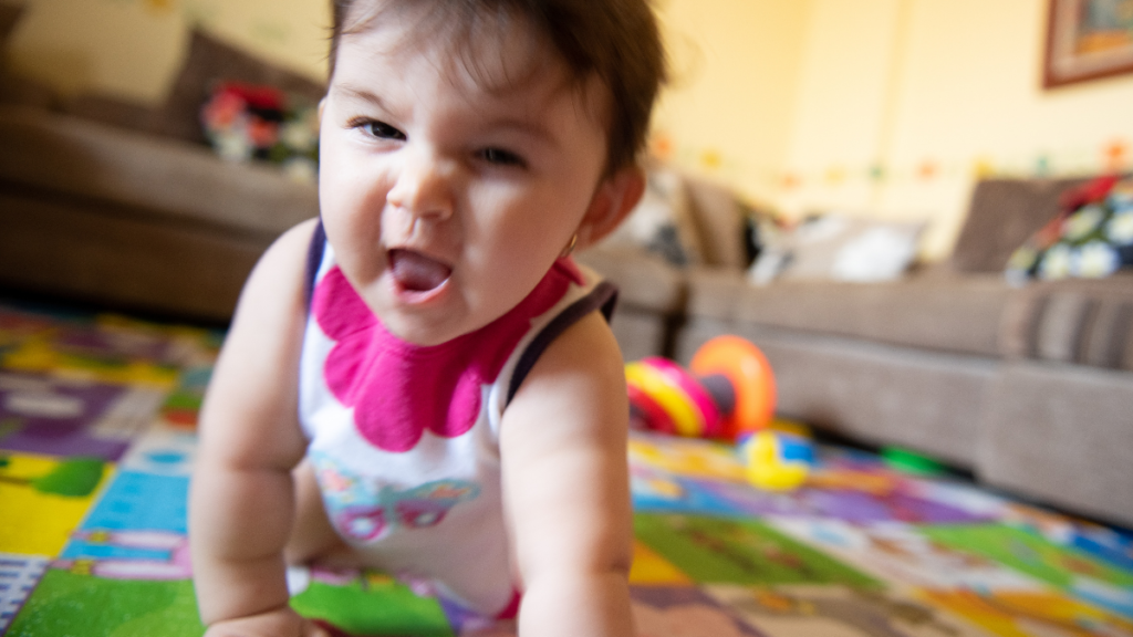 imagens matérias (85)