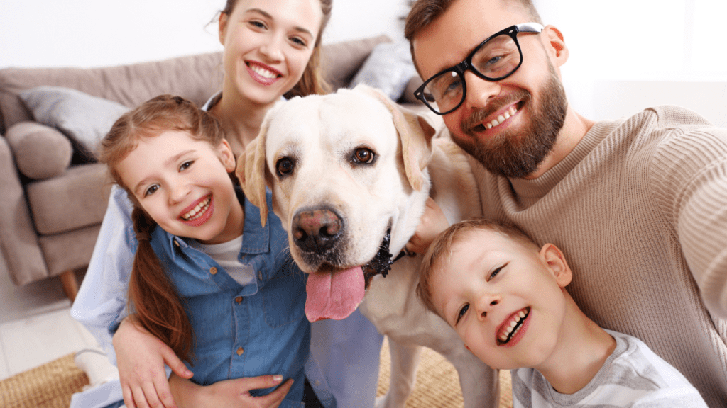 imagens matérias (89)