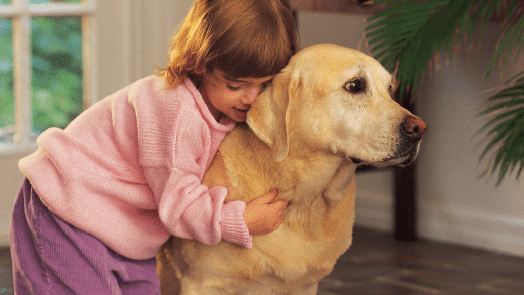 imagens matérias (92)