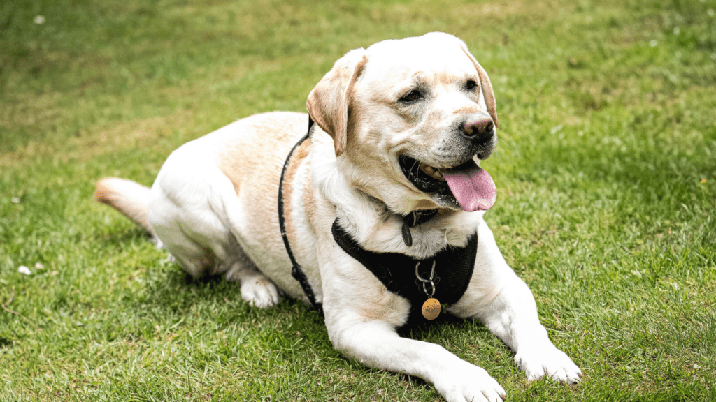 imagens matérias (93)