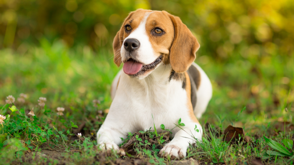 imagens matérias (94)