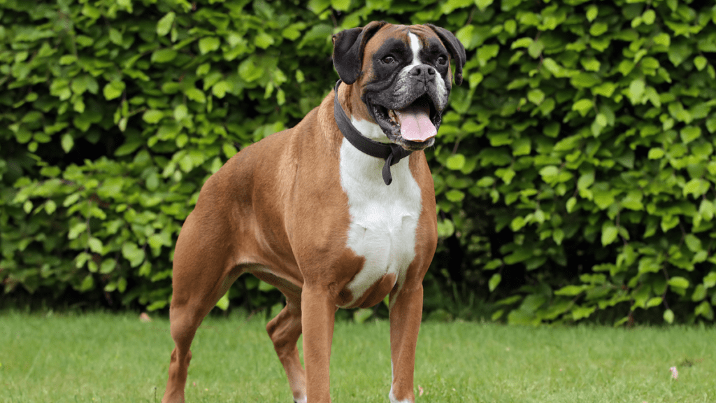 imagens matérias (96)